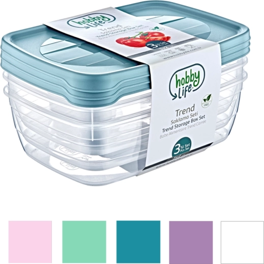 Set od 3 pravokutnih spremnika Trend Box 2 l