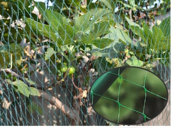 Diskretna zaštita u zelenoj boji