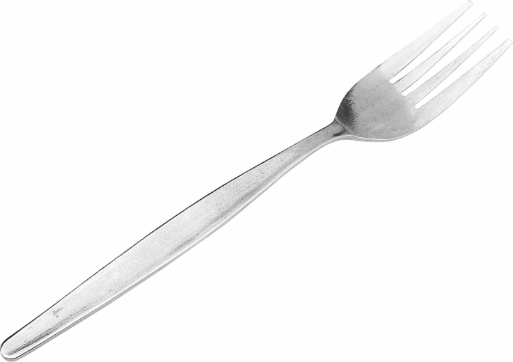 Set blagovaonskih vilica od nehrđajućeg čelika 6 kom