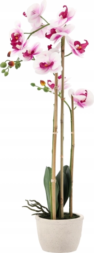 Idealna visina 70 cm