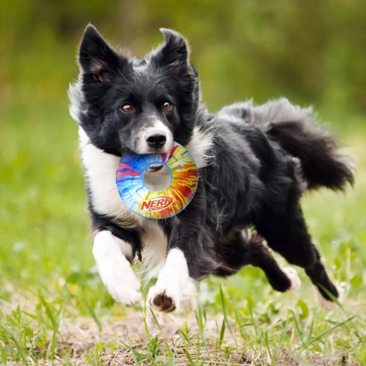 Pištalo koje povećava motivaciju za igru