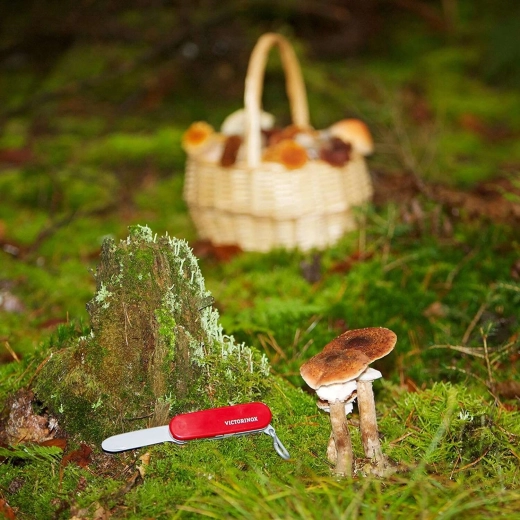 Licencirani VICTORINOX dizajn