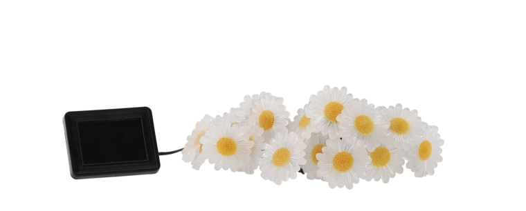 Čarobna cvjetna atmosfera