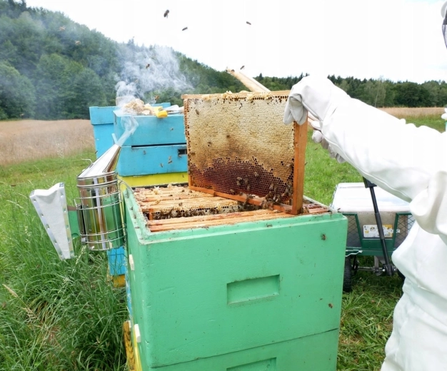 Idealan pomoćnik pri vrcanju meda