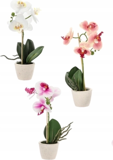 Miks triju elegantnih boja