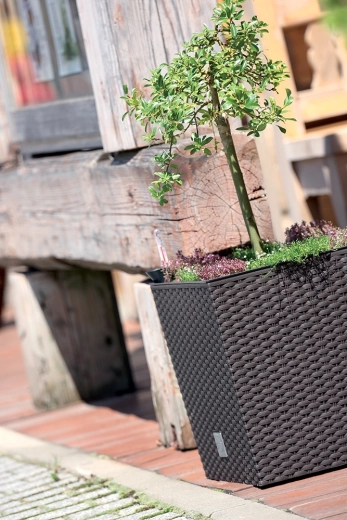 Udobna sadnja zahvaljujući izvadivom umetku