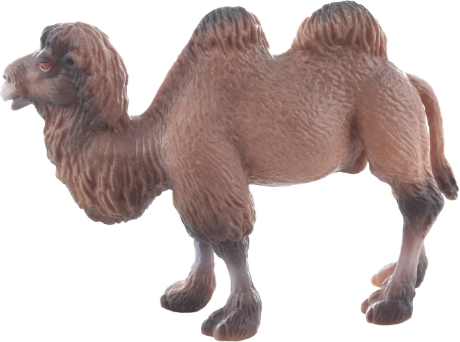 Kompaktne dimenzije za lako korištenje