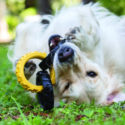 Interaktivna zabava u domu i na otvorenom