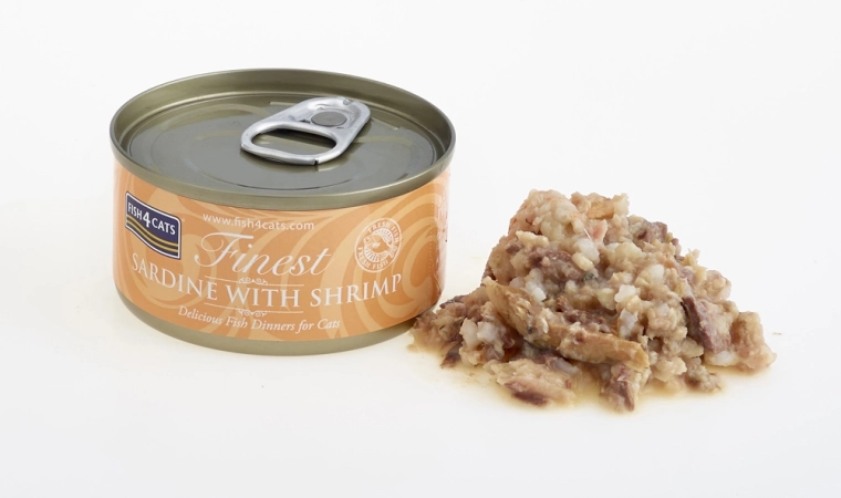 Jednostavno posluživanje u sočnom temeljcu