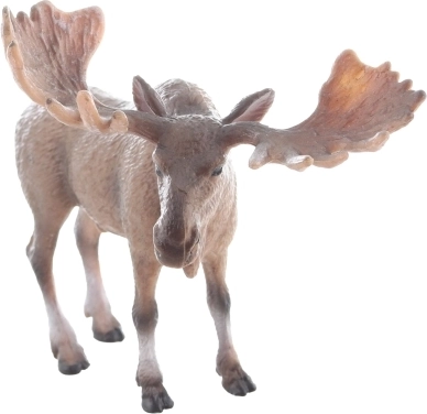 Realistična izvedba za vjeran doživljaj