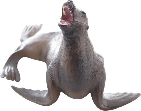 Odlična za učenje o morskim životinjama