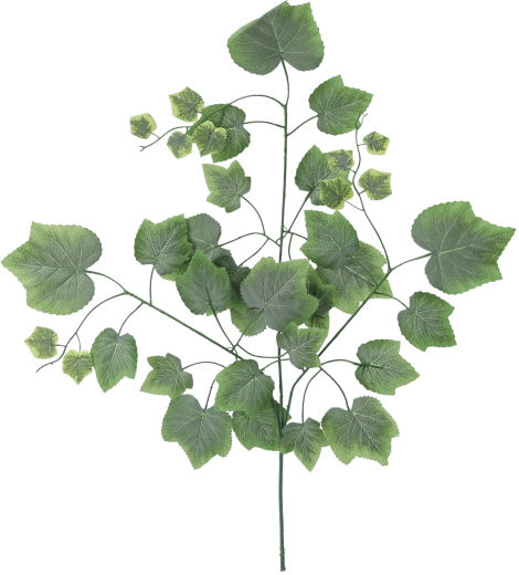 Set umjetnih grana s listovima vinove loze, zelene, 78 cm – 12 kom