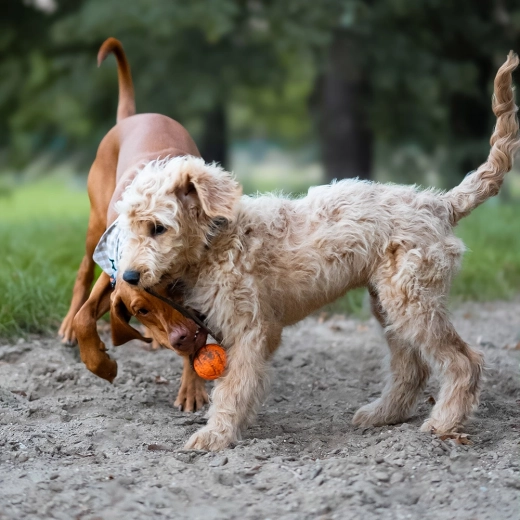 Uže za bacanje i potezanje