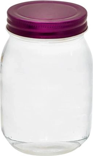 Staklenka za zimnicu s poklopcem TORO 500 ml