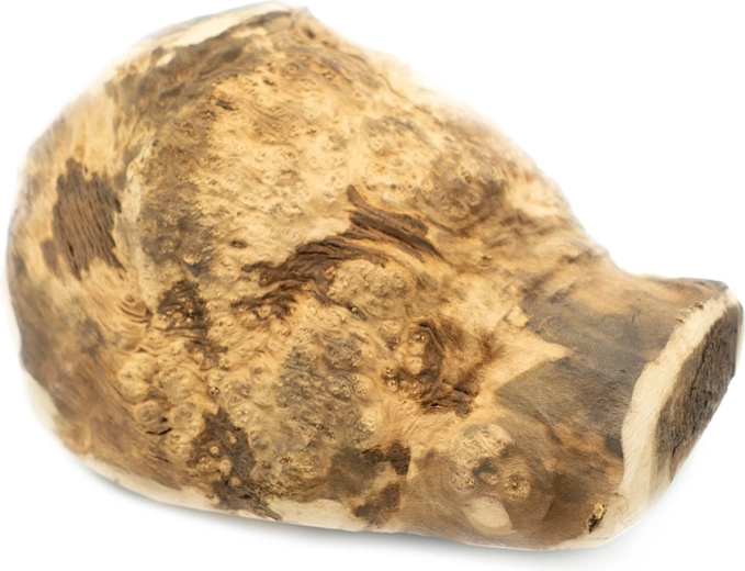 Explorer Dog prirodni žvakajući korijen vrijesa za pse XL