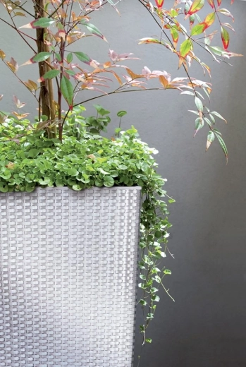 Unutarnji uložak za lako sadjenje i održavanje