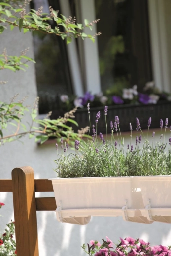 Praktična montaža na ogradu i postavljanje na prozorsku dasku