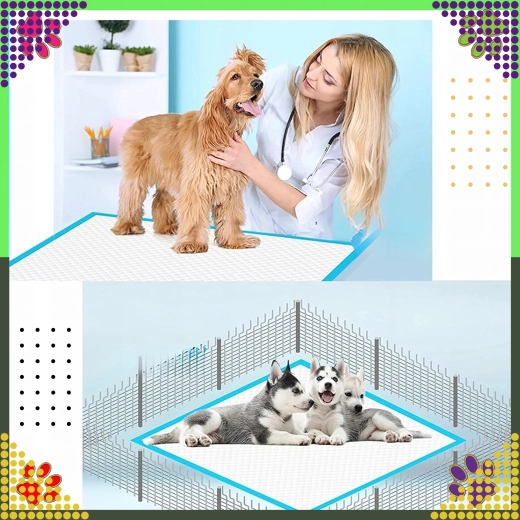 Čistoća kod kuće i na putu