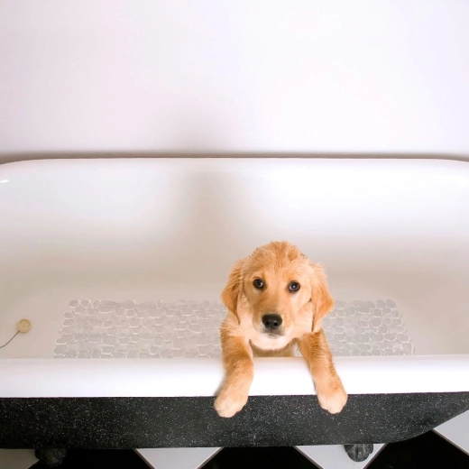 Udobnost i zaštita stopala