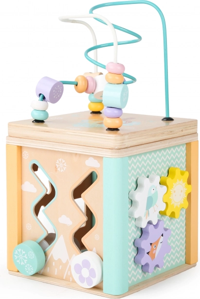 Drvena edukativna kocka Ecotoys