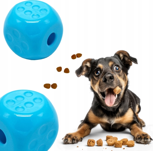 Zabava i trening u jednom