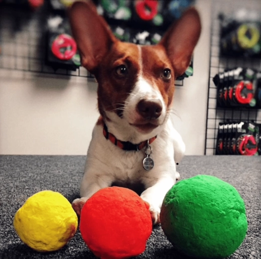 Zabava kod kuće, vani i u vodi