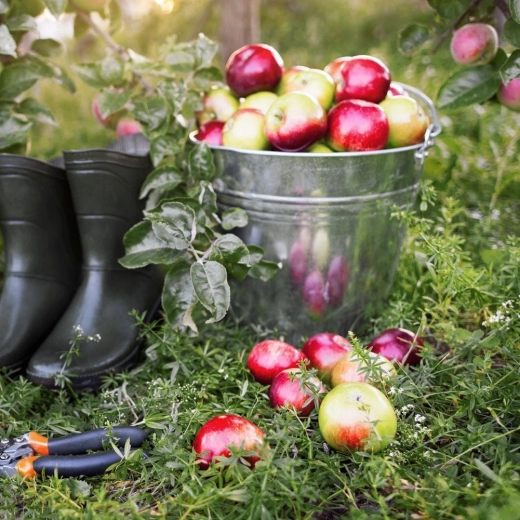 Univerzalna uporaba u domu, vrtu i na gradilištu