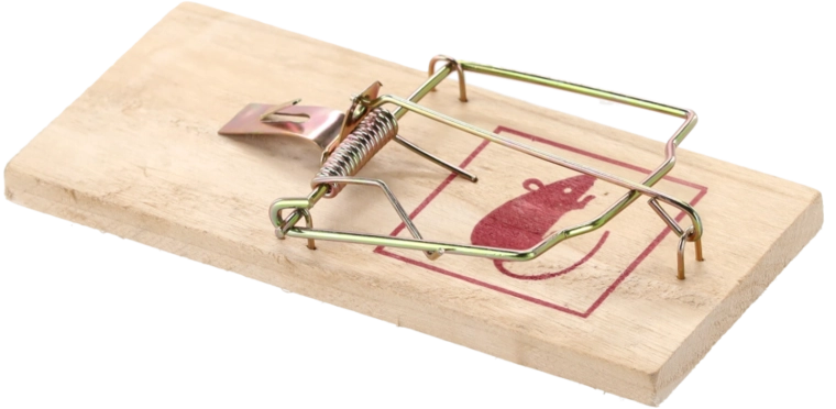 Izdrživa drvena baza