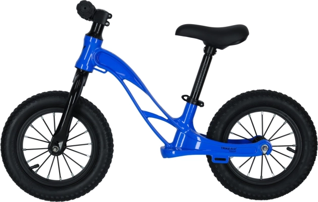 Dječji guralica Trike Fix Active