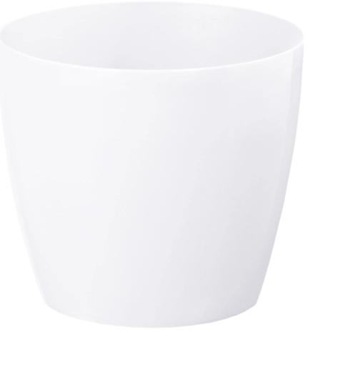 Navlaka Magnolia bijela 210 mm