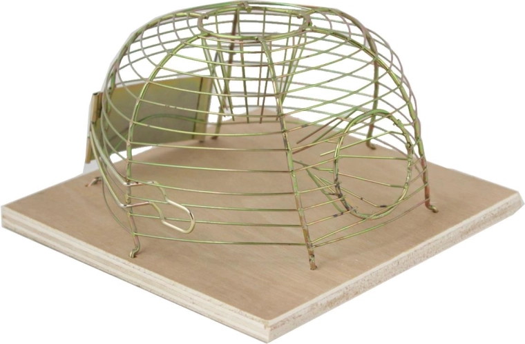 Živa klopka za miše 14 × 14 cm