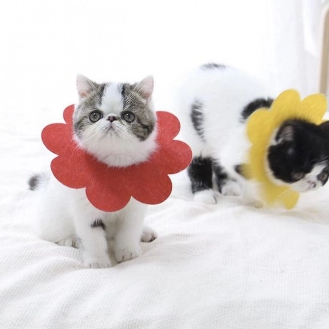 Mekani postoperativni zaštitni ovratnik za kućne ljubimce, crveni – veličina L