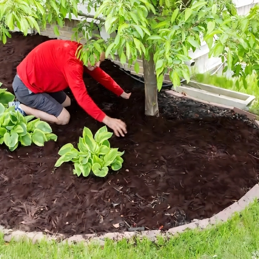 Vrtlarska tekstilija protiv korova 70 g/m², 1,1 × 50 m, crna, UV stabilizirana