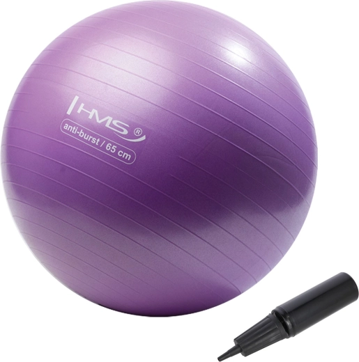 Gimnastička lopta HMS 65 cm ljubičasta