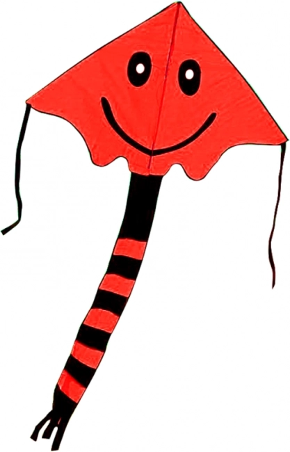 Leteći zmaj s osmijehom 80 × 60 cm