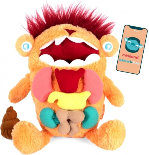 Edukativna igračka Kreatura - Otkrij zadivljujuću nutrinu