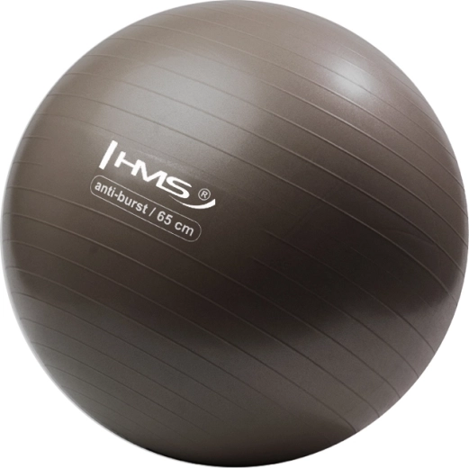Gimnastička lopta HMS 65 cm brončana