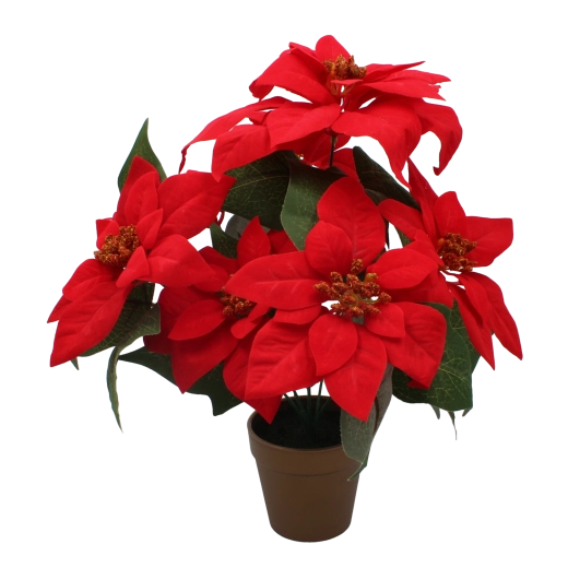 Umjetni božićni zvjezdan (poinsettia) u zlatnoj posudi 38 cm