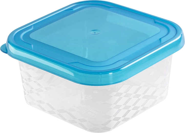 Četvrtasta posuda za hranu Blue Box 0,45 l