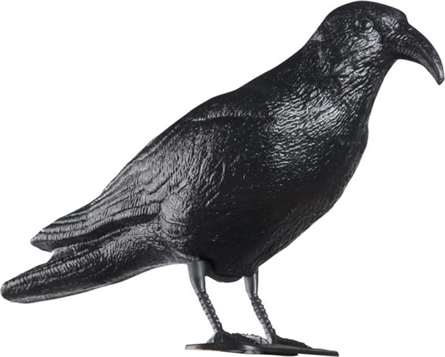 Plastični strašilo protiv golubova – gavran