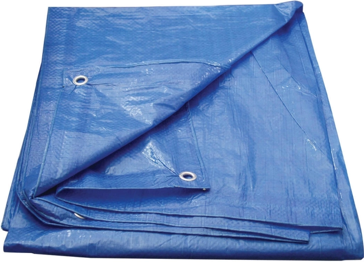 Cerada s očicama 5 × 6 m Economy, plava