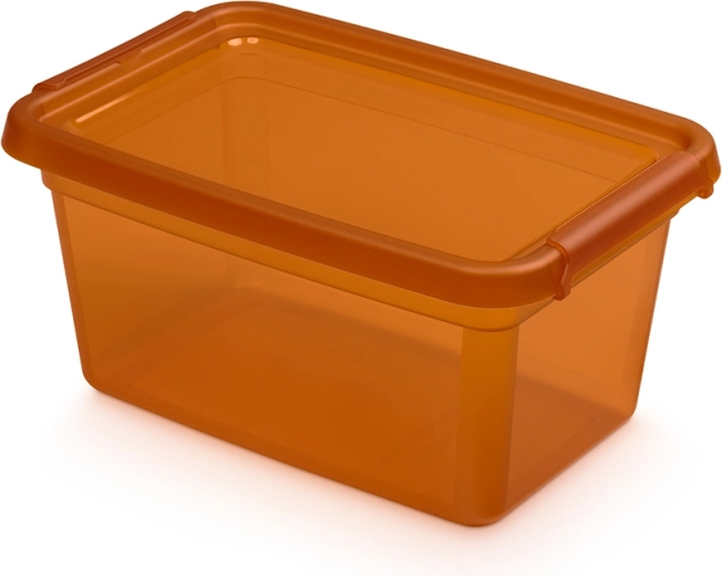 Basestore spremnik za pohranu s poklopcem i kopčama 4,5 l amber
