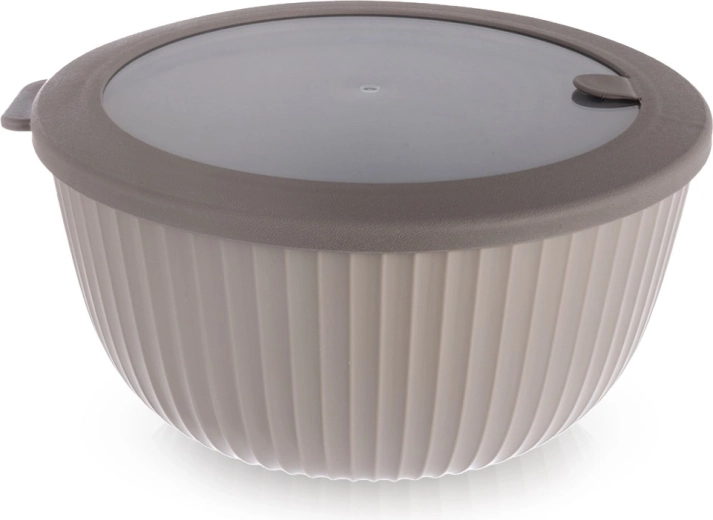 Kuhinjska zdjela s poklopcem 21 cm, 2,5 l