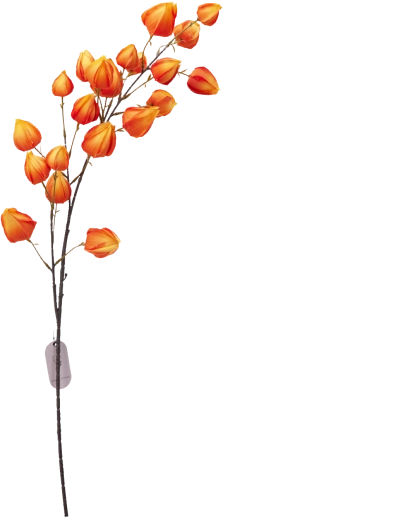 Sintetička dekorativna grančica krem 97 cm