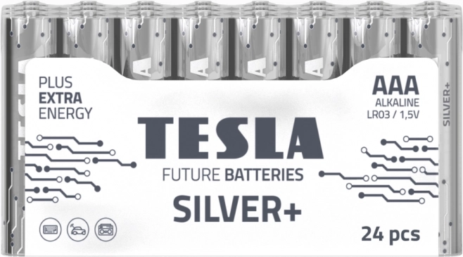 Alkalne baterije Tesla Silver+ LR03 24 kom
