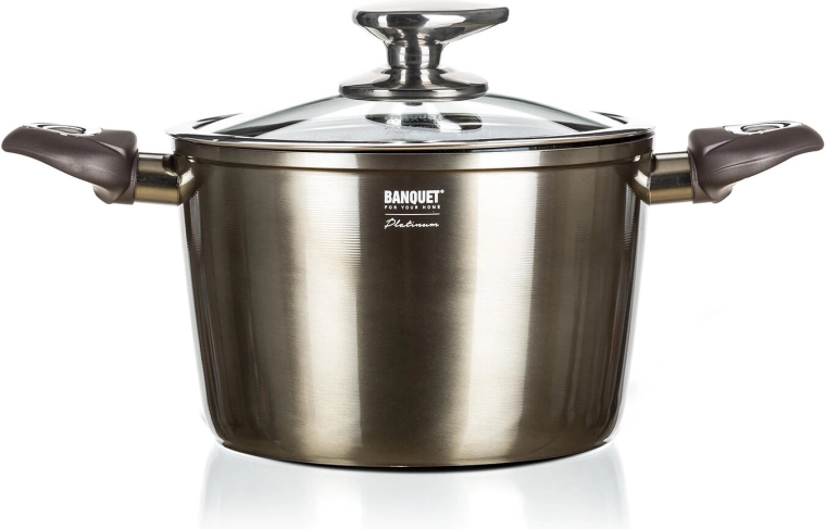 Lonac 20 cm 3,6 l s neprianjajućom površinom METALLIC PLATINUM sa staklenim poklopcem