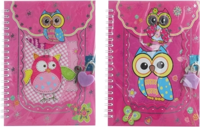 Bilježnica na ključ sove