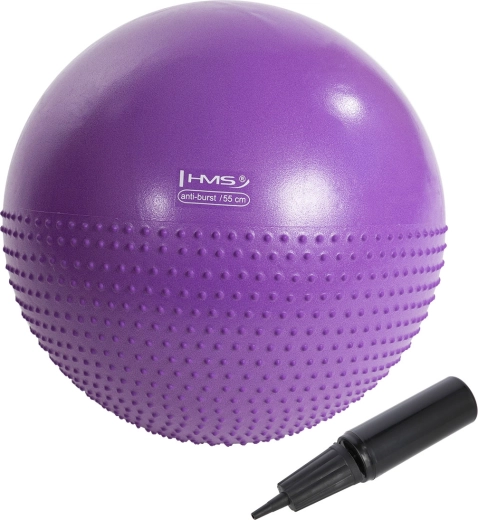 Masažna gimnastička lopta HMS YB03N 55 cm ljubičasta
