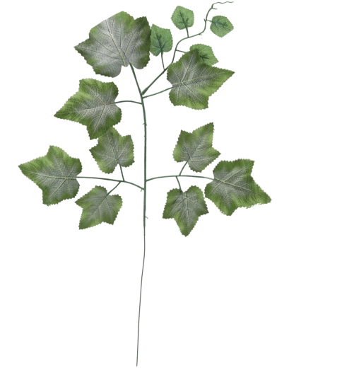 Set od 12 umjetnih grančica s listovima vinove loze, zelene, 78 cm