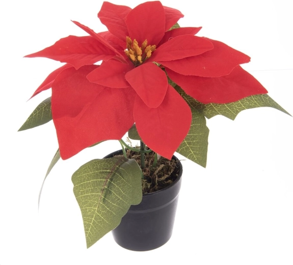 Umjetna božićna zvijezda (poinsettia) u posudi za cvijeće, crvena 19 cm